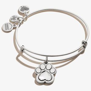 Alex & Ani Bracelet